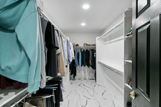 view of walk in closet