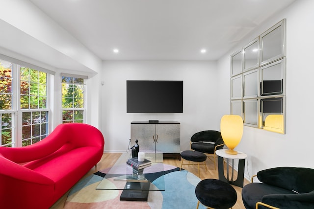 living room featuring light hardwood / wood-style floors