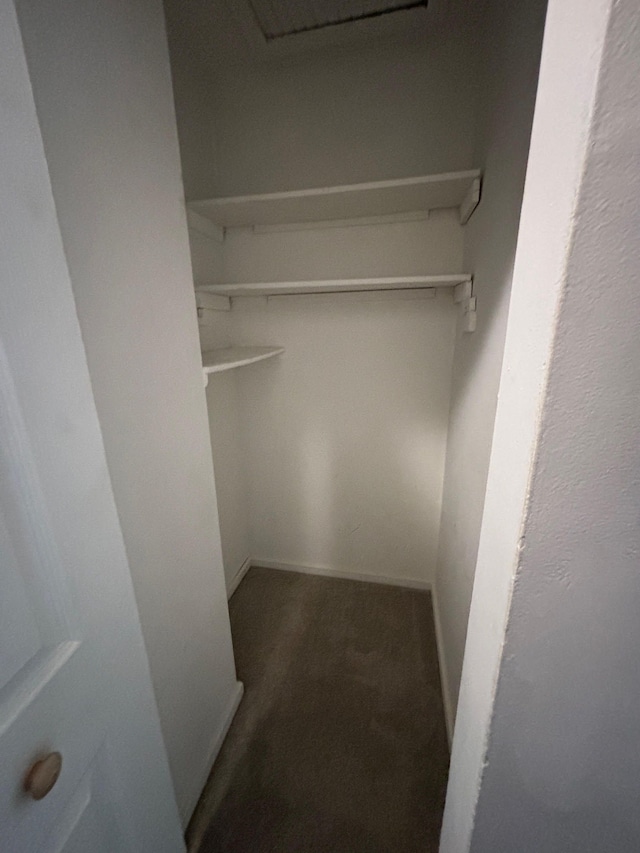 walk in closet featuring carpet floors