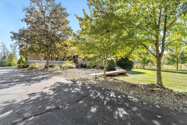 view of yard with a porch