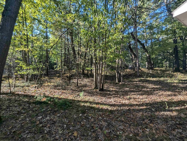 view of local wilderness