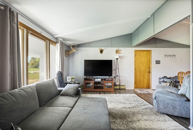 living room with hardwood / wood-style floors and lofted ceiling