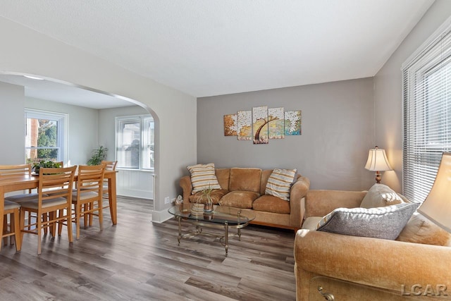 living room with wood-type flooring