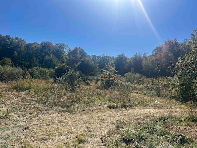 view of local wilderness