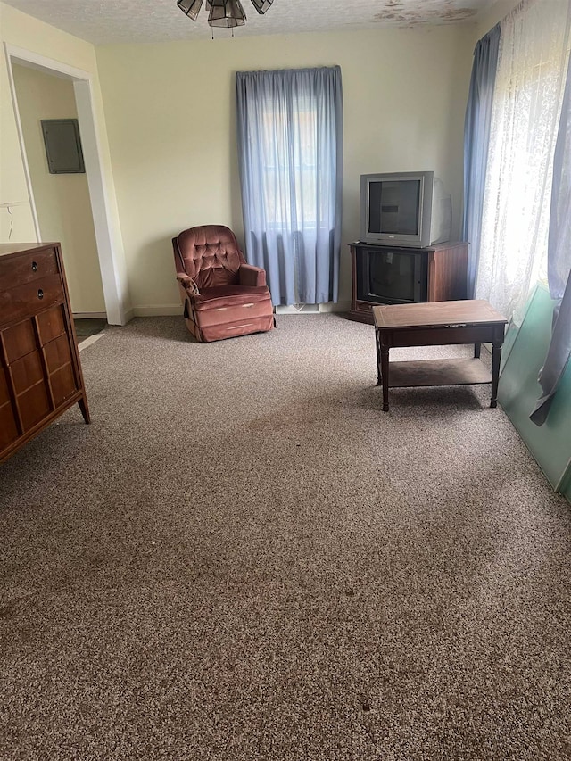 sitting room with carpet, a textured ceiling, electric panel, and ceiling fan