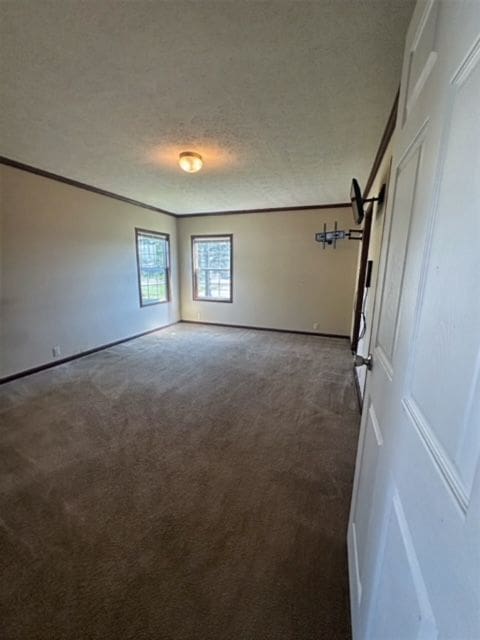 spare room featuring dark colored carpet, crown molding, and a textured ceiling