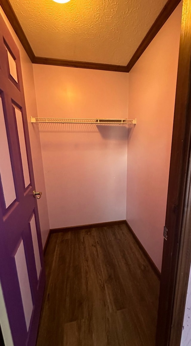 spacious closet featuring dark hardwood / wood-style flooring