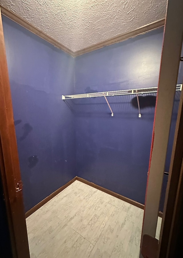 walk in closet featuring hardwood / wood-style flooring