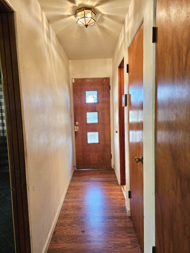 entryway with wood-type flooring