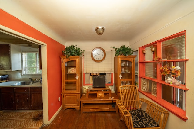 interior space featuring dark hardwood / wood-style flooring and sink