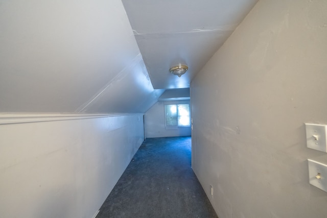 additional living space featuring dark carpet and lofted ceiling