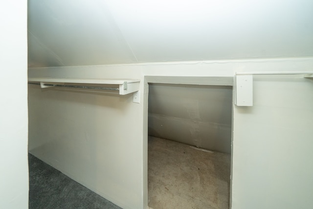 walk in closet featuring carpet flooring and lofted ceiling