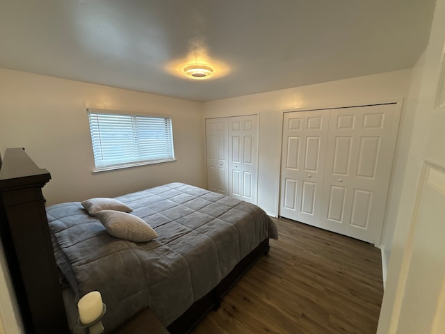 bedroom with two closets and dark hardwood / wood-style floors