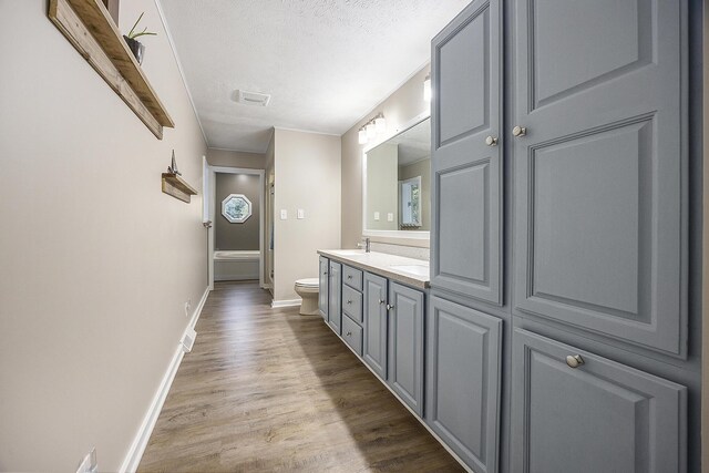 11600 Baker Rd, Greenville, MI 48838 - bathroom featuring toilet, baseboards, wood finished floors, double vanity, and a textured ceiling