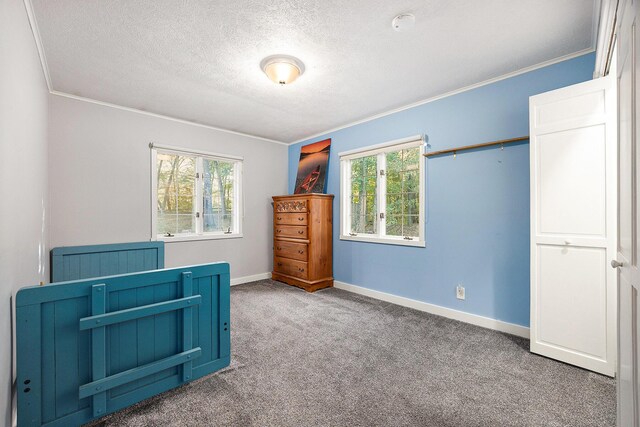 11600 Baker Rd, Greenville, MI 48838 - unfurnished bedroom with carpet flooring, crown molding, baseboards, and a textured ceiling