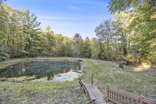 11600 Baker Rd, Greenville, MI 48838 - view of yard featuring a water view, a forest view, and a pool