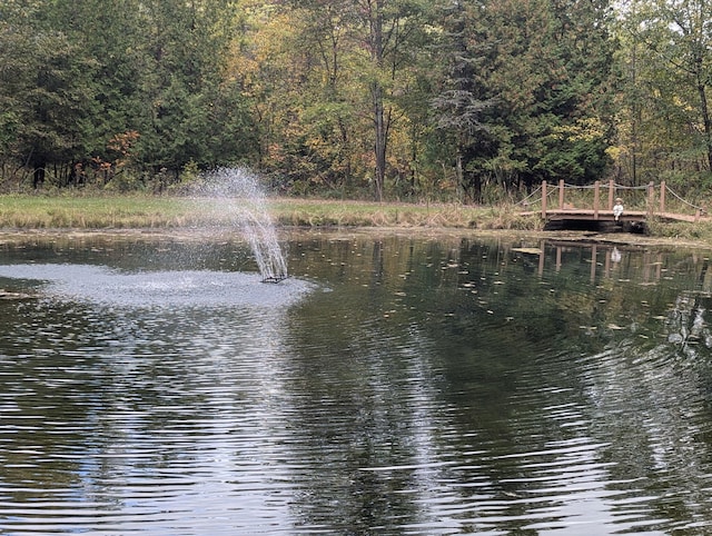 view of water feature with a wooded view