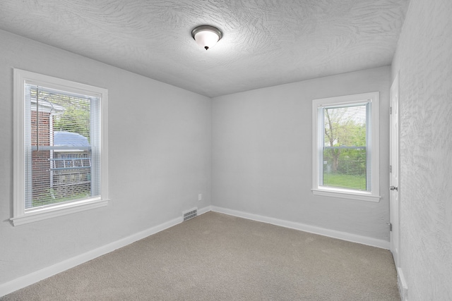 spare room with carpet, a textured ceiling, and a healthy amount of sunlight