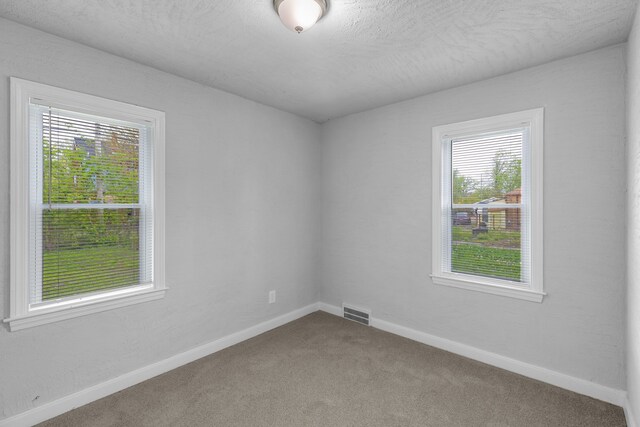 unfurnished room with a wealth of natural light, carpet, and a textured ceiling