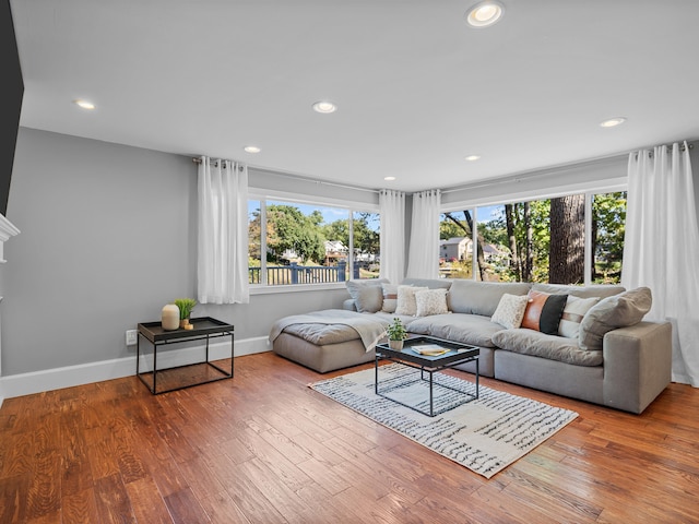 living room with plenty of natural light and wood-type flooring