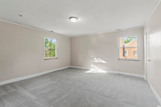 spare room featuring light colored carpet and crown molding