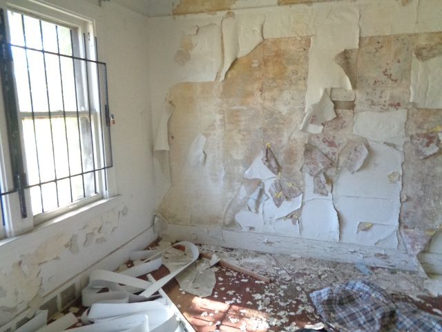 16017 San Juan Dr, Detroit, MI 48238 - empty room with plenty of natural light
