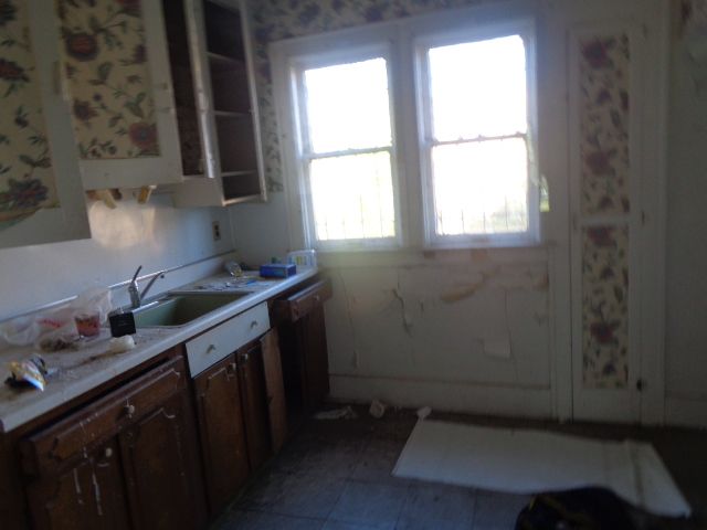 16017 San Juan Dr, Detroit, MI 48238 - kitchen featuring a sink and light countertops