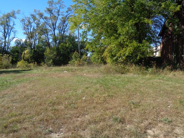 16017 San Juan Dr, Detroit, MI 48238 - view of yard