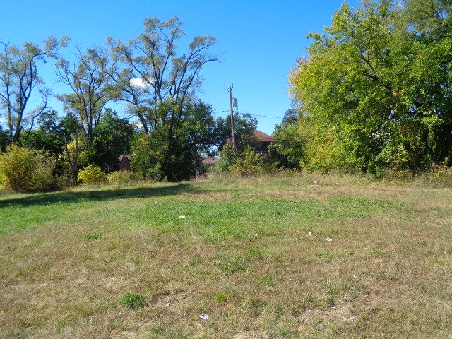 16017 San Juan Dr, Detroit, MI 48238 - view of yard