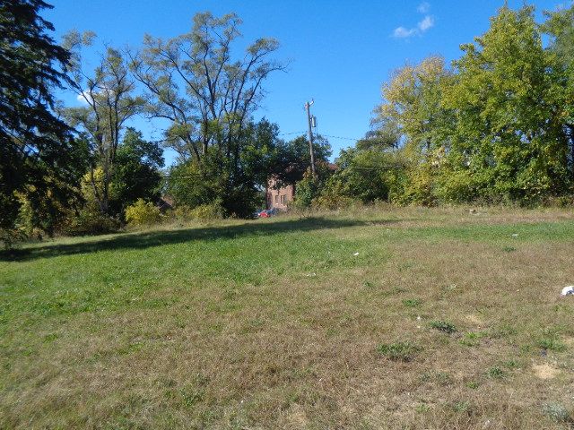 16017 San Juan Dr, Detroit, MI 48238 - view of green lawn