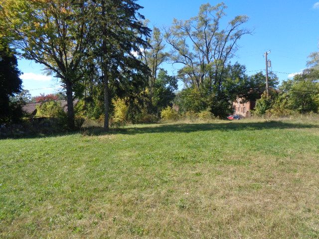 16017 San Juan Dr, Detroit, MI 48238 - view of green lawn