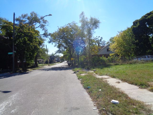 16017 San Juan Dr, Detroit, MI 48238 - view of asphalt road featuring sidewalks and street lights
