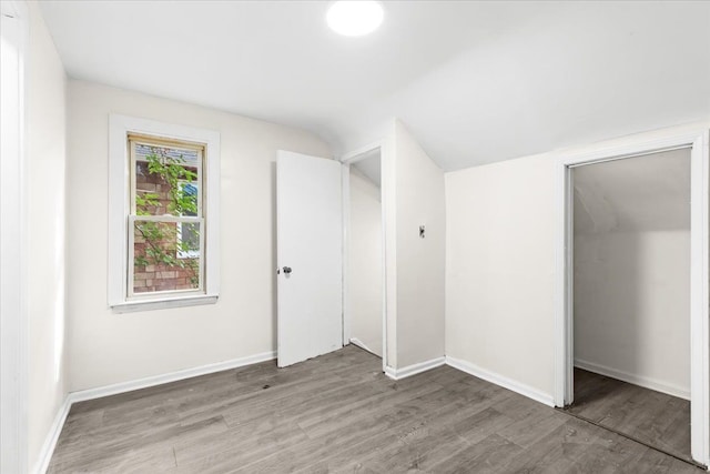 additional living space featuring wood-type flooring