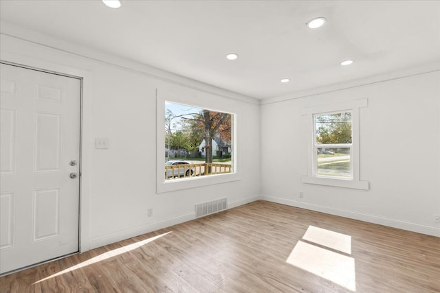 foyer featuring light hardwood / wood-style floors and a wealth of natural light