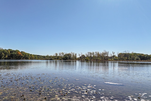 view of water feature