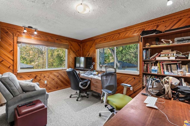 office space with wood walls, a healthy amount of sunlight, and a textured ceiling