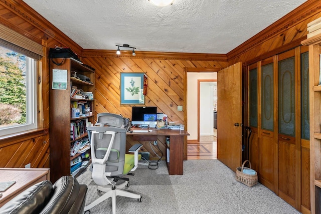 carpeted office space featuring wooden walls, a textured ceiling, and ornamental molding