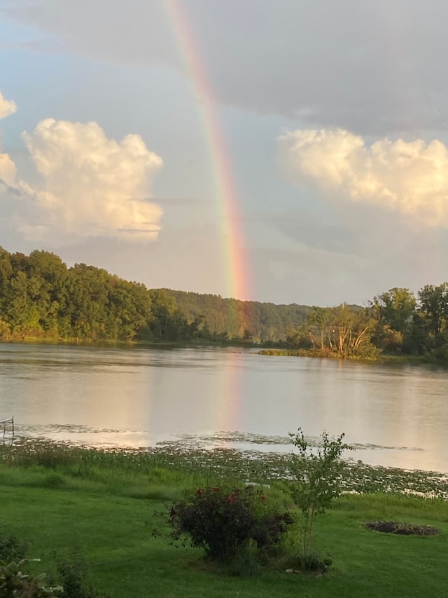 property view of water