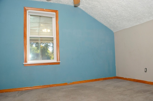 additional living space featuring lofted ceiling, a textured ceiling, and carpet floors