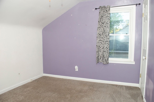 additional living space with carpet and lofted ceiling