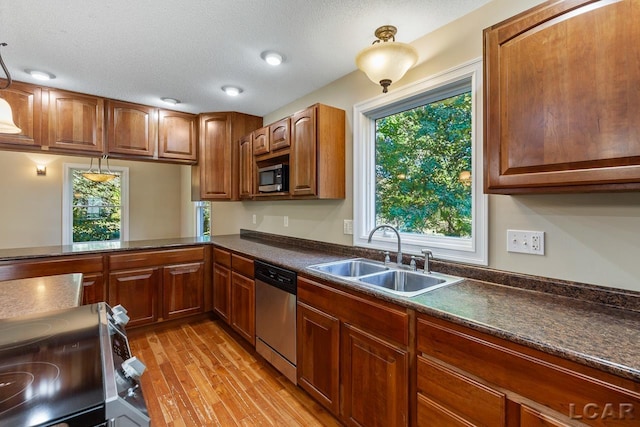 kitchen featuring appliances with stainless steel finishes, light hardwood / wood-style floors, a wealth of natural light, and sink