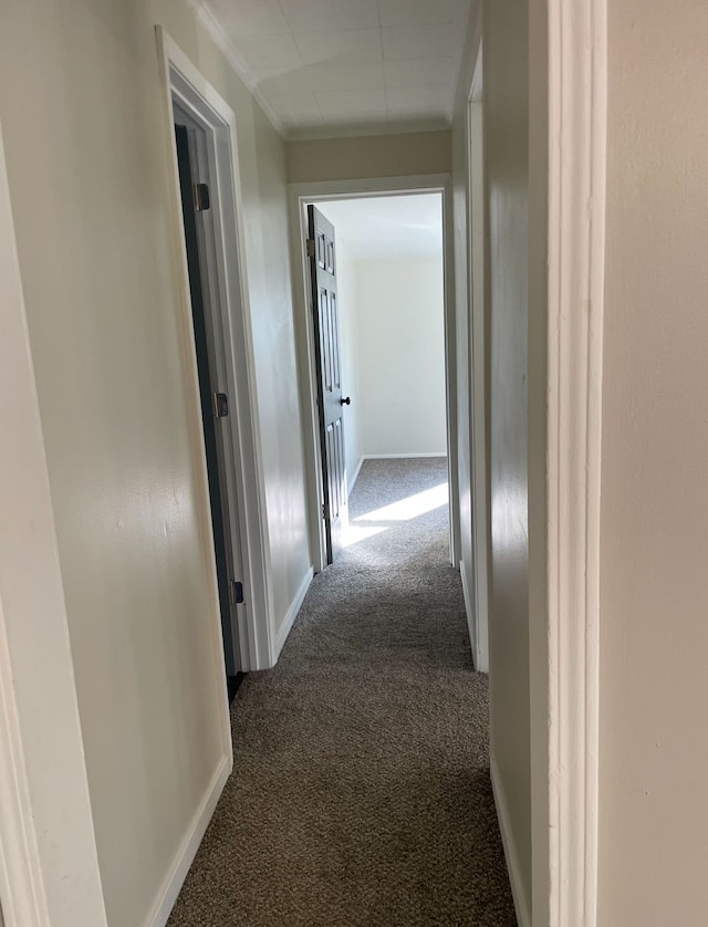 hallway with ornamental molding and dark colored carpet