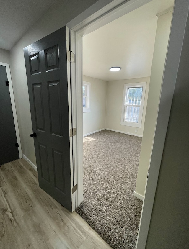 hallway with a healthy amount of sunlight and light carpet