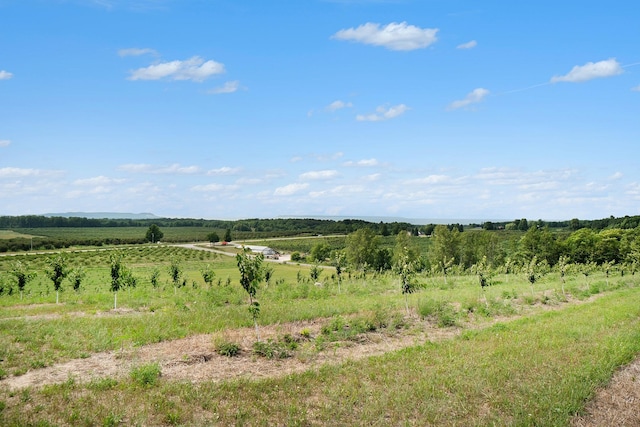 view of nature featuring a rural view