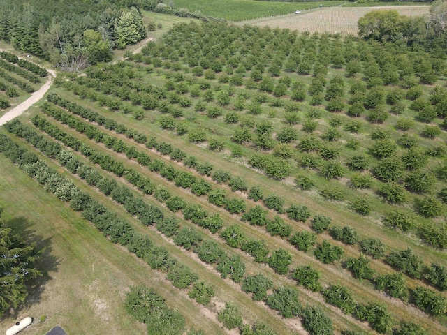 aerial view featuring a rural view