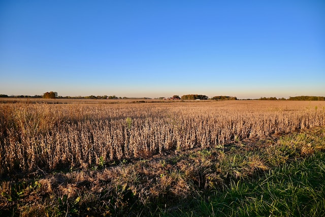 12101 Todd Rd, Ida, MI 48140 - view of undeveloped land with rural landscape