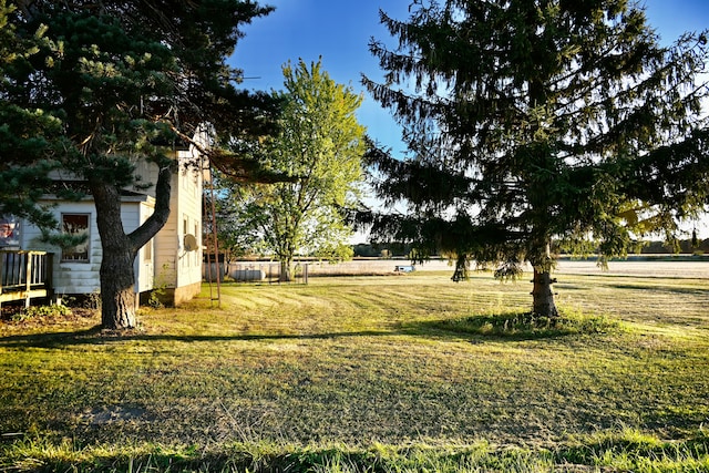 12101 Todd Rd, Ida, MI 48140 - view of green lawn