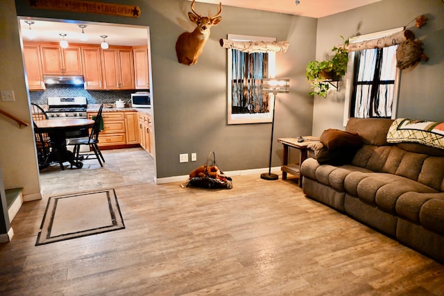12101 Todd Rd, Ida, MI 48140 - living room featuring baseboards and light wood-type flooring