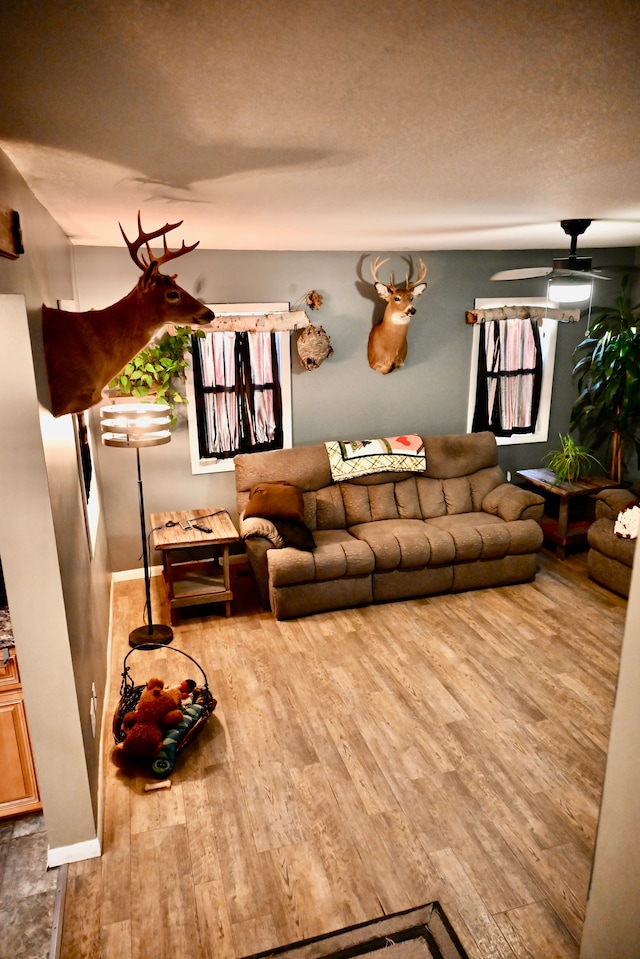 12101 Todd Rd, Ida, MI 48140 - living area with wood finished floors and a ceiling fan