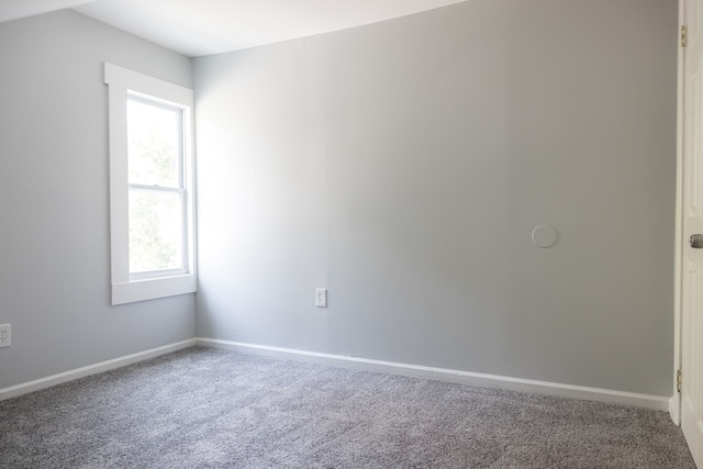 spare room featuring carpet flooring